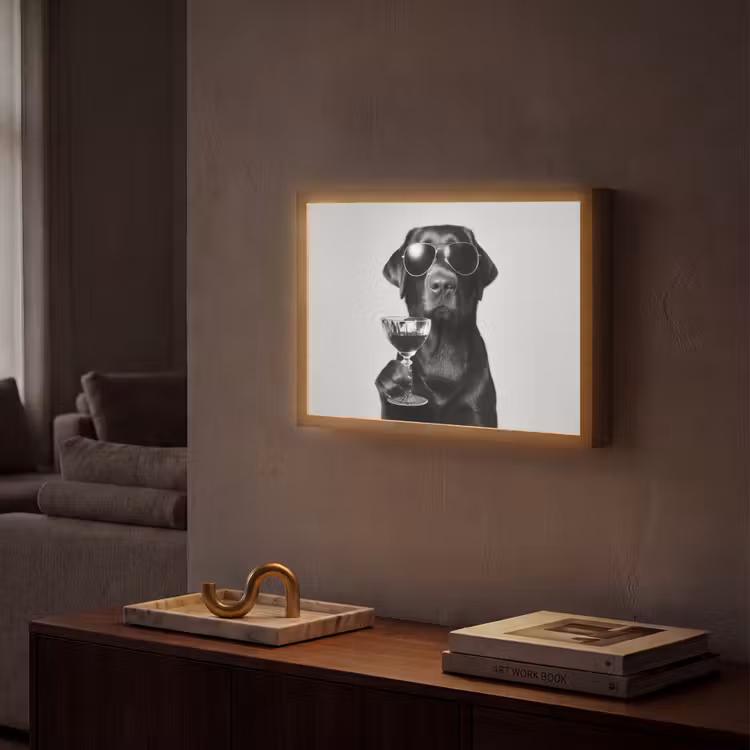 Hond - Zwart - Wijnglas - Zonnebril Light Box met batterij (Wandlamp) middel -sfeer1