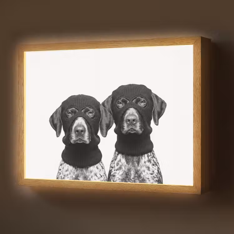 Honden - Bivakmuts - Zwart - wit Light Box met batterij (Wandlamp) middel -z3d_website