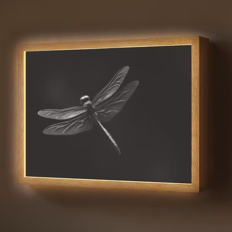 Libelle - Dieren - Zwart - Insect Light Box met batterij (Wandlamp) middel -z3d_website