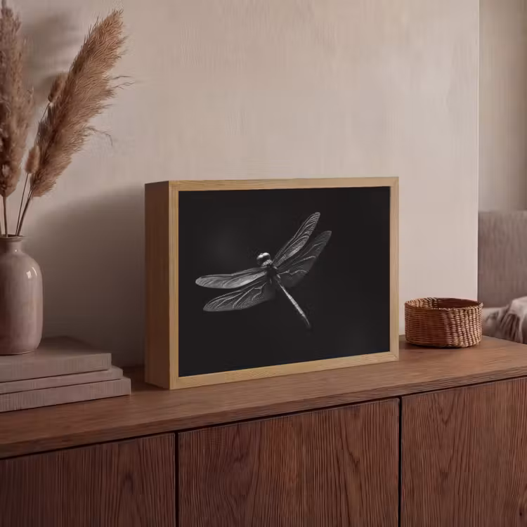 Libelle - Dieren - Zwart - Insect Light Box met batterij (Wandlamp) middel -sfeer2