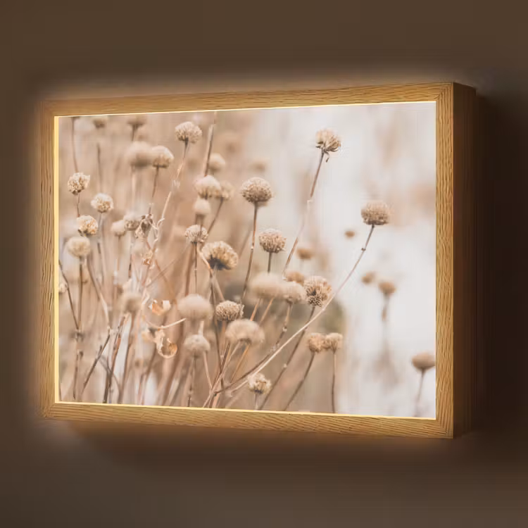 Droogbloemen - Beige - Bloemen - Natuur Light Box met batterij (Wandlamp) middel -z3d_website