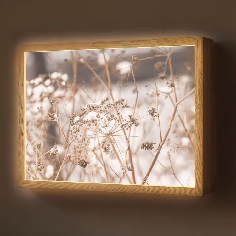 Droogbloemen - Wit - Planten Light Box met batterij (Wandlamp) middel -z3d_website