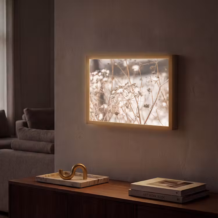 Droogbloemen - Wit - Planten Light Box met batterij (Wandlamp) middel -sfeer1