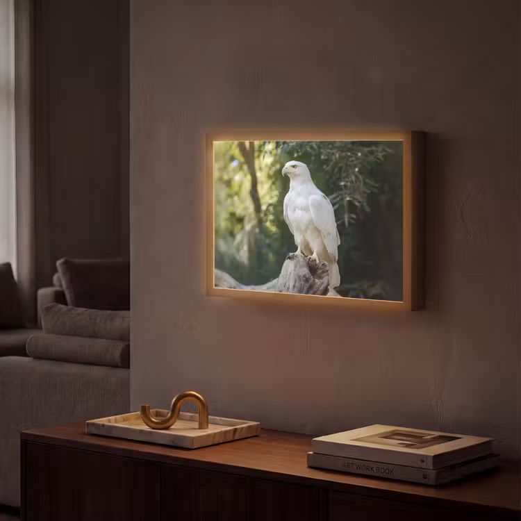Arend - Hout - Wit - Planten Light Box met batterij (Wandlamp) middel -sfeer1