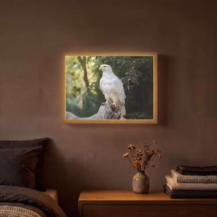 Arend - Hout - Wit - Planten Light Box met batterij (Wandlamp) middel -sfeer4