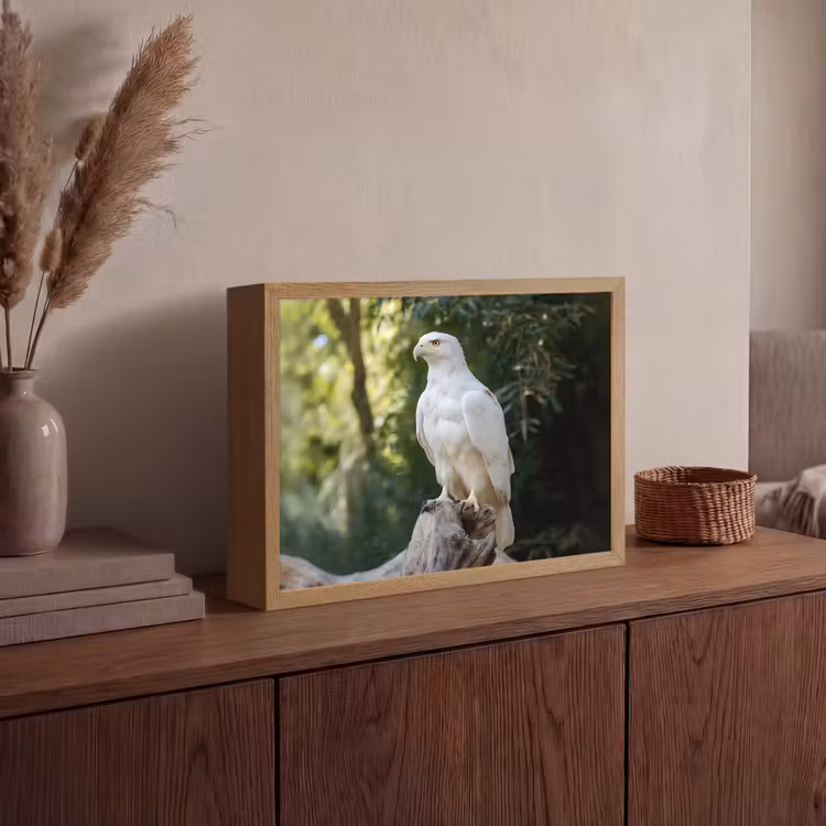 Arend - Hout - Wit - Planten Light Box met batterij (Wandlamp) middel -sfeer2