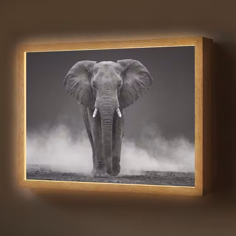 Olifant - Zwart - Wit - Rook Light Box met batterij (Wandlamp) middel -z3d_website