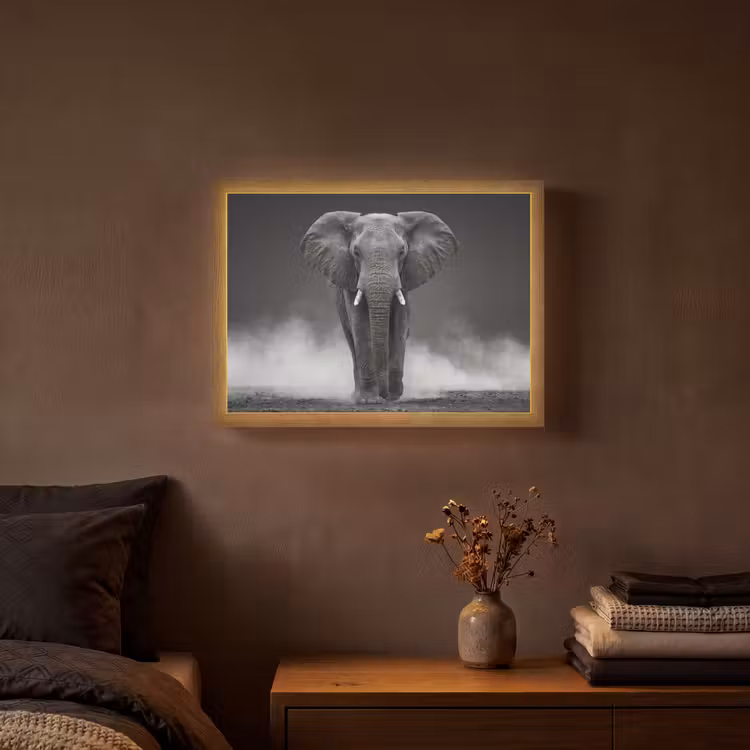 Olifant - Zwart - Wit - Rook Light Box met batterij (Wandlamp) middel -sfeer4