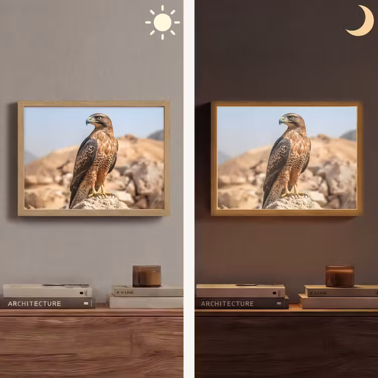 Valk - Vogel - Rots - Macht Light Box met batterij (Wandlamp) middel -sfeer3