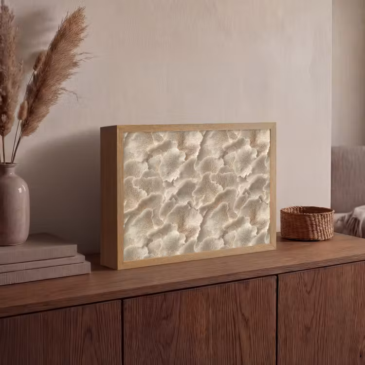 Waaierstructuren - Beige - Vezeltextuur Light Box met batterij (Wandlamp) middel 907 -sfeer2