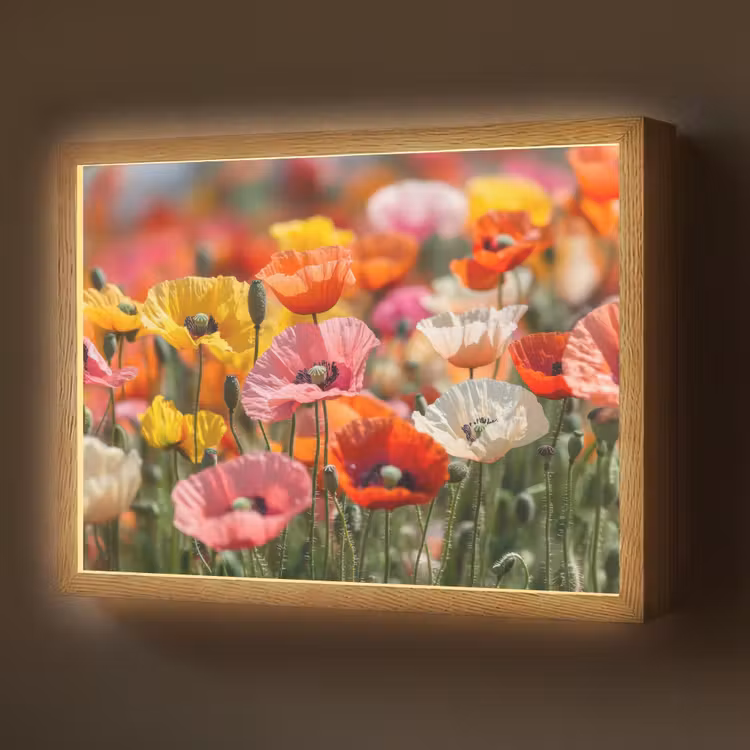 Bloemenveld - Klaprozen - Kleurrijk Light Box met batterij (Wandlamp) middel -z3d_website