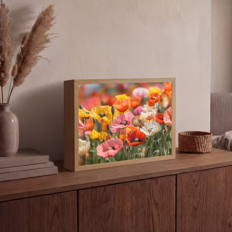 Bloemenveld - Klaprozen - Kleurrijk Light Box met batterij (Wandlamp) middel -sfeer2