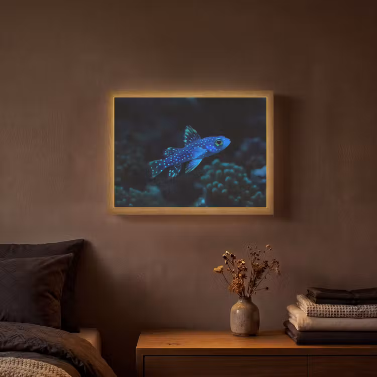 Vis - Stippen - Koraal - Blauw Light Box met batterij (Wandlamp) middel -sfeer4