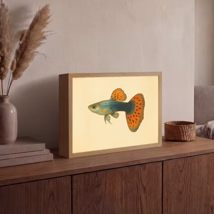 Vis - illustratie - Stippen - Oranje Light Box met batterij (Wandlamp) middel -sfeer2