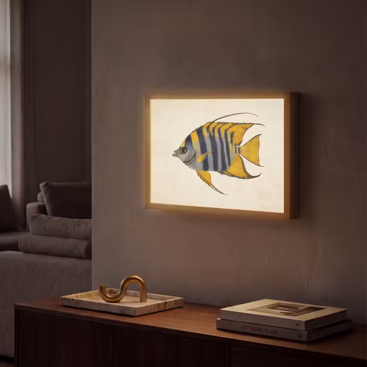 Vis - Sierlijk - Vinnen - Illustratie Light Box met batterij (Wandlamp) middel -sfeer1