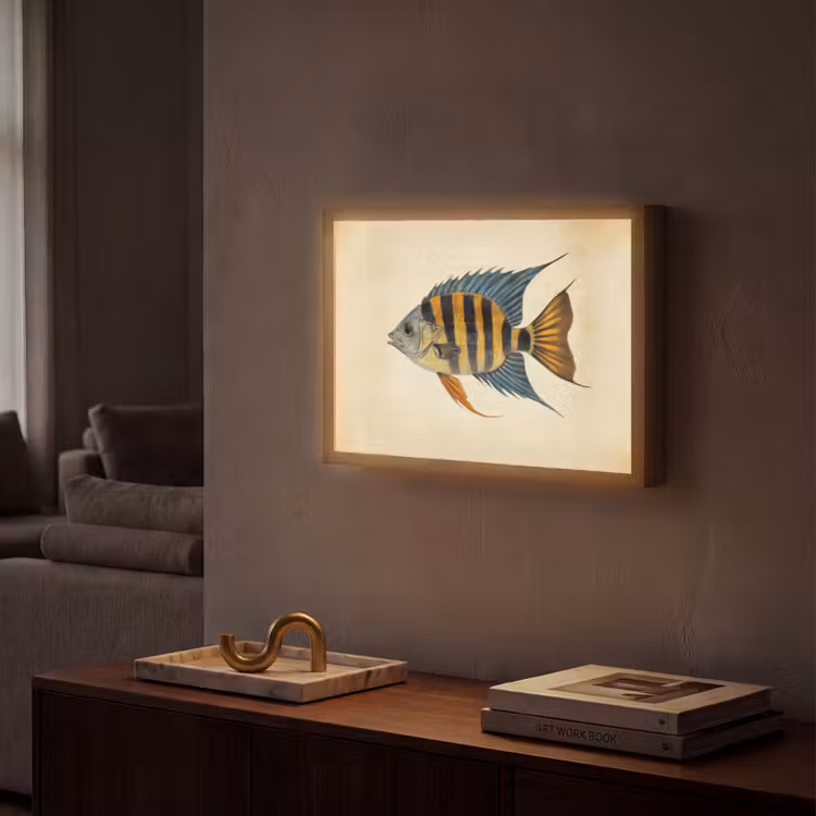 Vis - Tropisch - Strepen - Vinnen Light Box met batterij (Wandlamp) middel -sfeer1