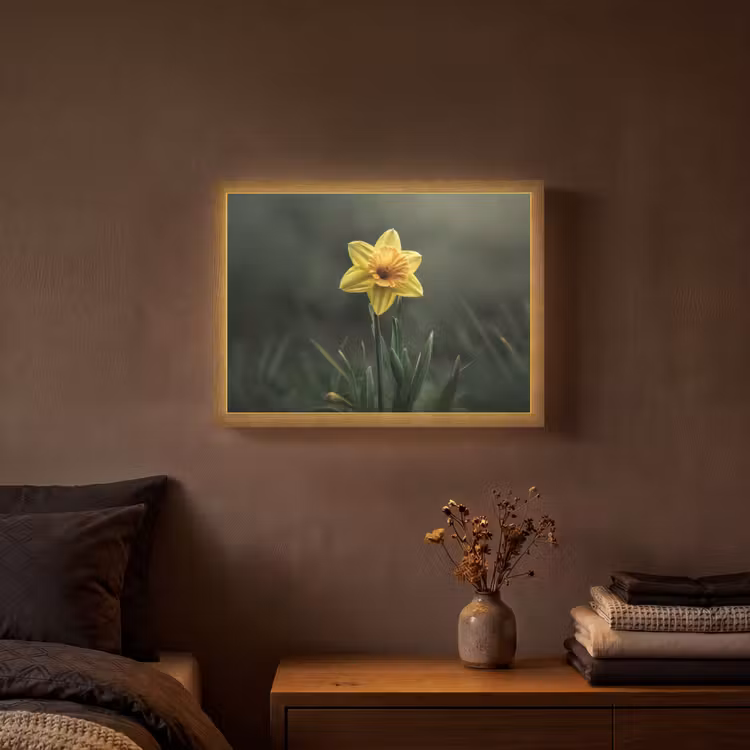 Bloem - Narcis - Gras - Geel Light Box met batterij (Wandlamp) middel -sfeer4