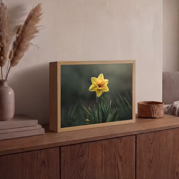 Bloem - Narcis - Gras - Geel Light Box met batterij (Wandlamp) middel -sfeer2