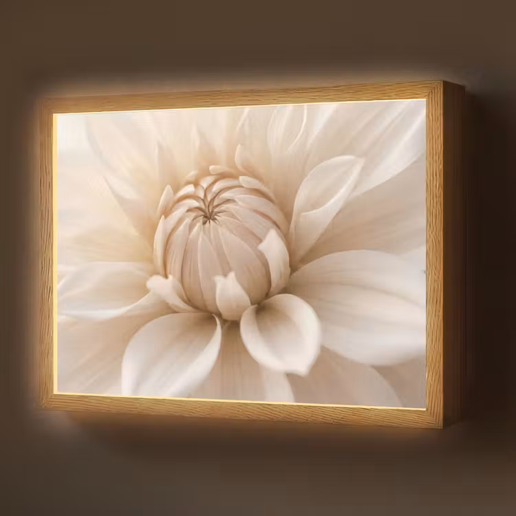 Bloem - Dahlia - Wit Light Box met batterij (Wandlamp) middel -z3d_website