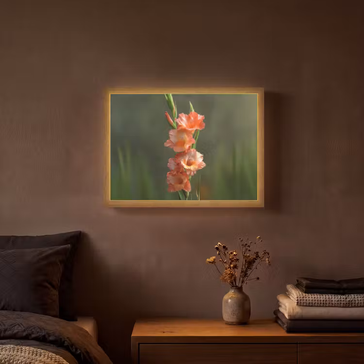 Bloem - Gladiolen - Zalmroze Light Box met batterij (Wandlamp) middel -sfeer4