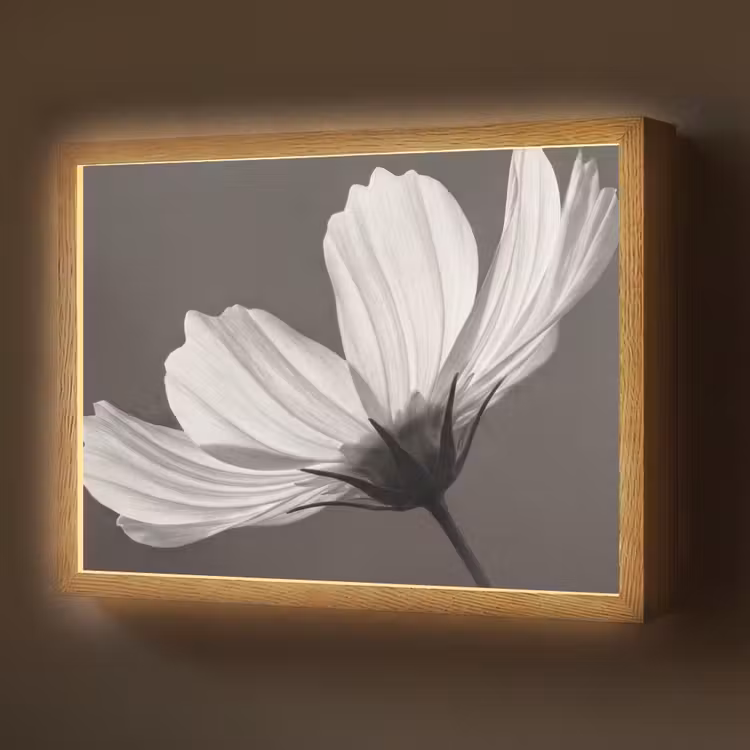 Bloem - Minimalistisch - Zwart - Wit Light Box met batterij (Wandlamp) middel -z3d_website