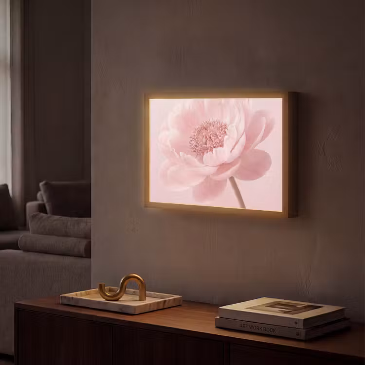 Bloem - Pioenroos - Roze Light Box met batterij (Wandlamp) middel -sfeer1