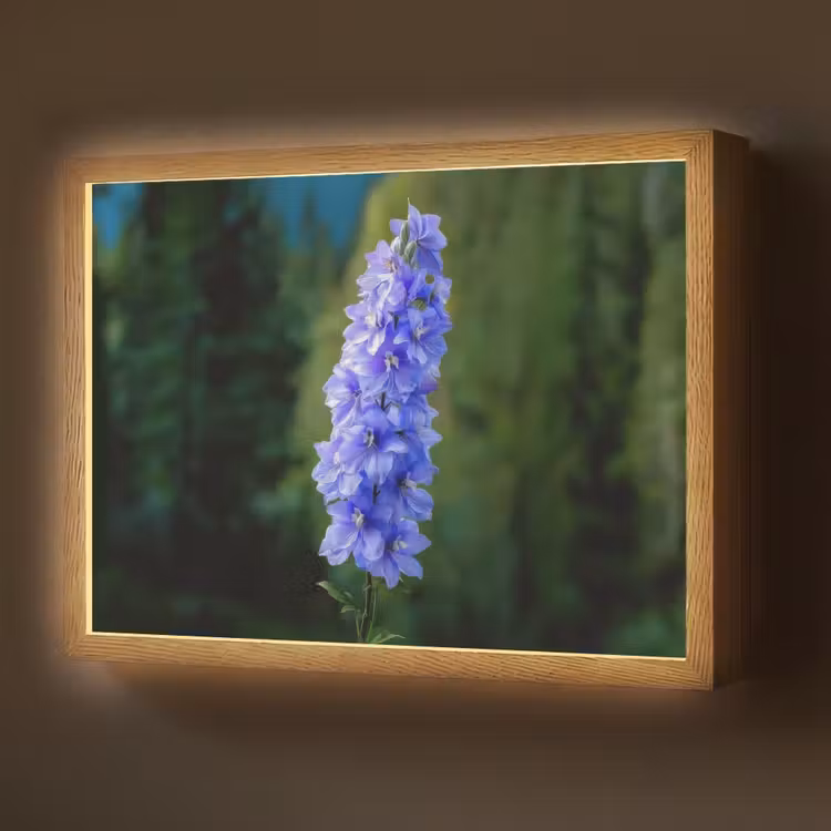 Bloemen - Blauw - Dennenboom Light Box met batterij (Wandlamp) middel -z3d_website