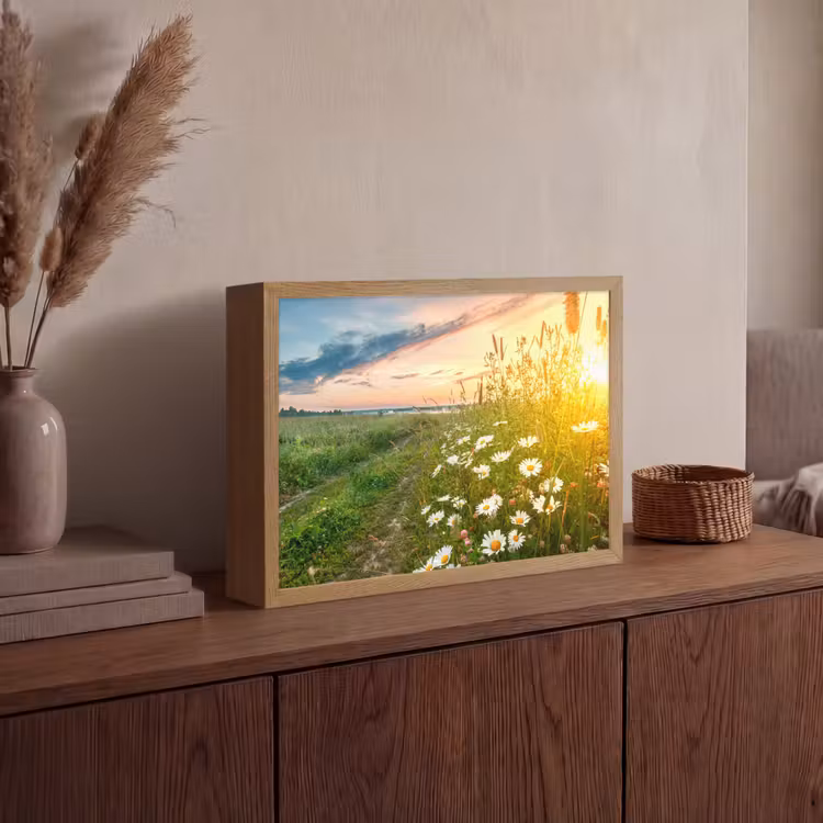 Bloemen - Madelief - Natuur - Zon - Horizon Light Box met batterij (Wandlamp) middel -sfeer2
