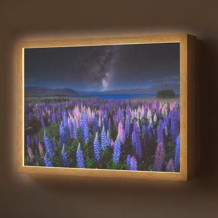 Bloemen - Nacht - Lupine - Sterrenhemel - Paars - Natuur Light Box met batterij (Wandlamp) middel -z3d_website
