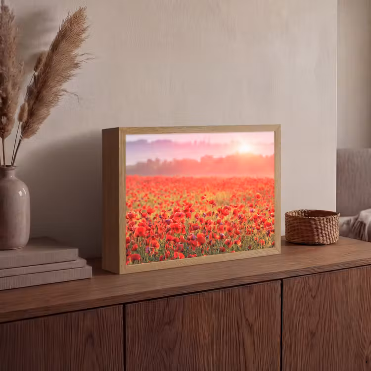 Bloemen - Klaprozen - Rood - Bloemenveld Light Box met batterij (Wandlamp) middel -sfeer2