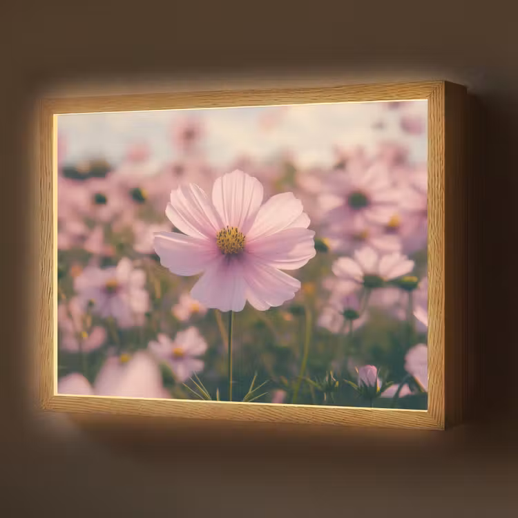 Bloemen - Paars - Wazig Light Box met batterij (Wandlamp) middel -z3d_website