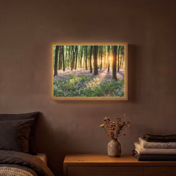 Bos - Bloemen - Lavendel - Zon - Paars - Natuur Light Box met batterij (Wandlamp) middel -sfeer4