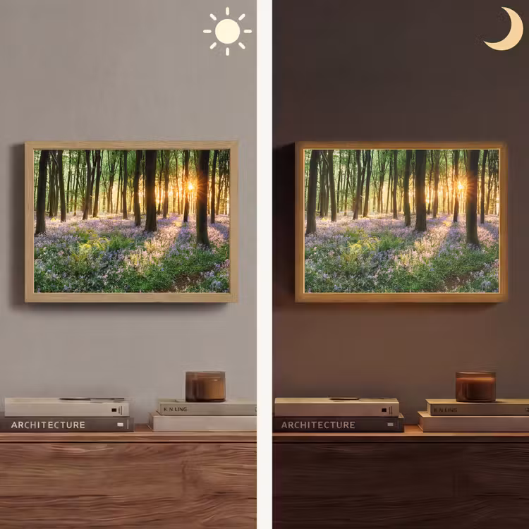 Bos - Bloemen - Lavendel - Zon - Paars - Natuur Light Box met batterij (Wandlamp) middel -sfeer3