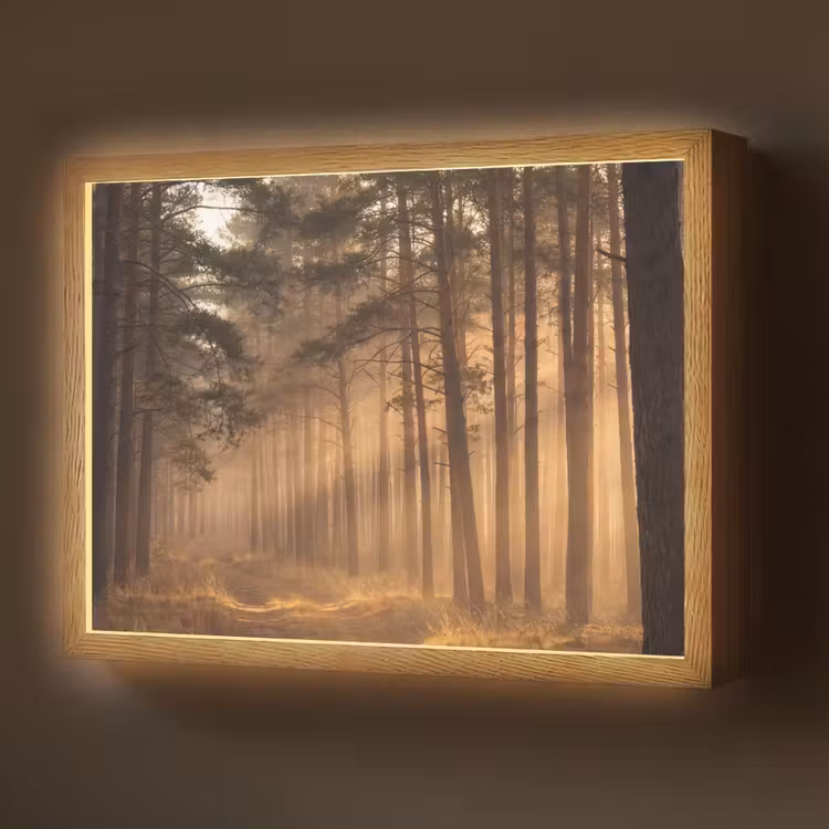 Bos - Mist - Zonlicht Light Box met batterij (Wandlamp) middel -z3d_website