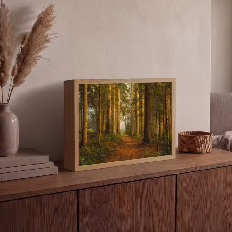 Bos - Natuur - Bomen - Landschap - Bladeren Light Box met batterij (Wandlamp) middel -sfeer2