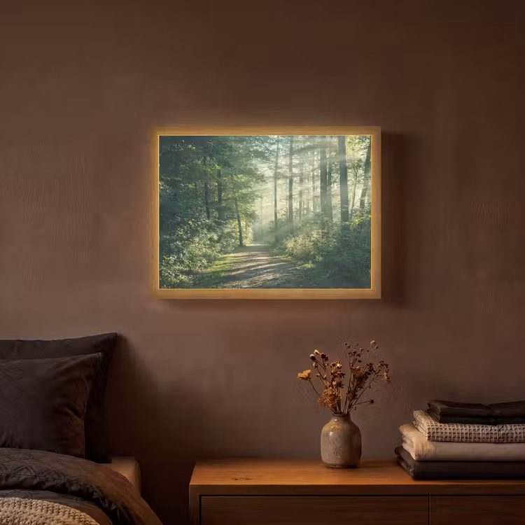 Bos - Pad - Zon - Bomen - Groen - Natuur Light Box met batterij (Wandlamp) middel -sfeer4