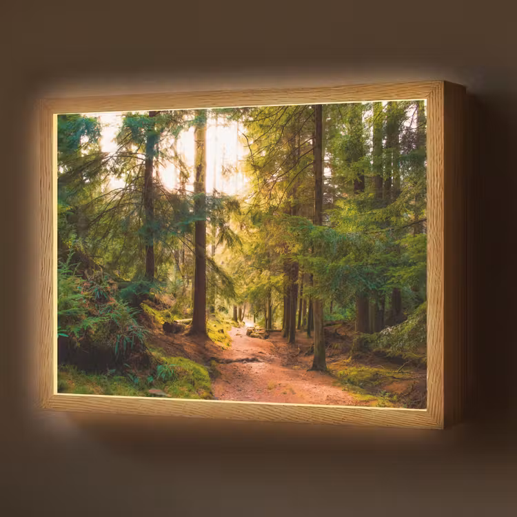 Bos - Pad - Bomen - Groen - Zon - Natuur Light Box met batterij (Wandlamp) middel -z3d_website