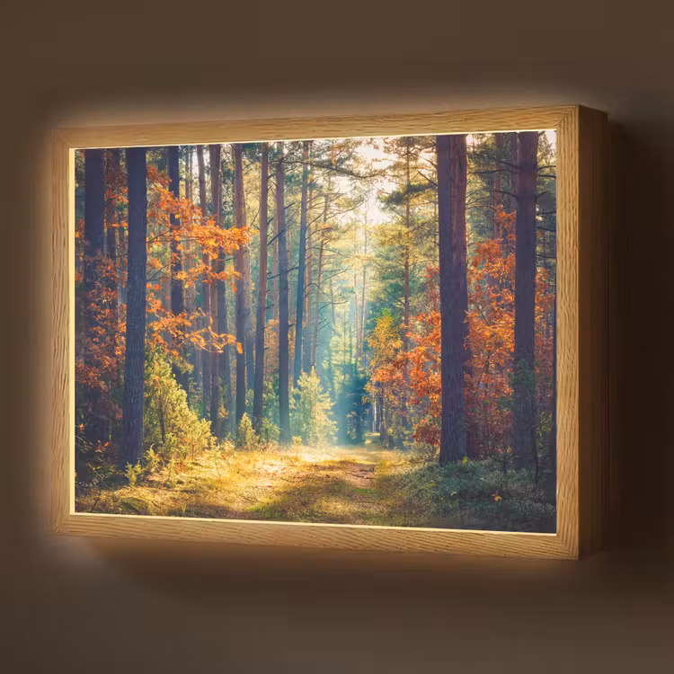 Bos - Zon - Natuur - Herfst Light Box met batterij (Wandlamp) middel -z3d_website