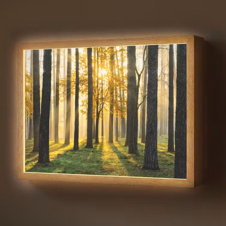 Bos - Zon - Bomen - Gras - Landschap - Natuur Light Box met batterij (Wandlamp) middel -z3d_website