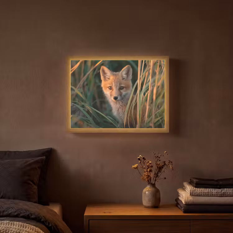 Vos - Oranje - Gras Light Box met batterij (Wandlamp) middel -sfeer4