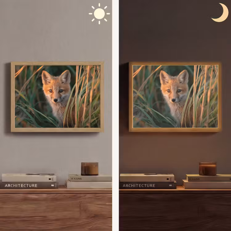 Vos - Oranje - Gras Light Box met batterij (Wandlamp) middel -sfeer3