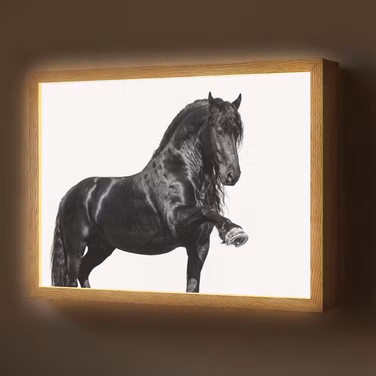 Fries - Hengst - Modern Light Box met batterij (Wandlamp) middel -z3d_website