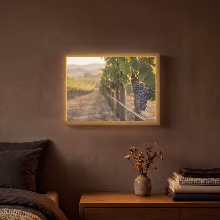 Druiven - Wijngaard - Zonlicht Light Box met batterij (Wandlamp) middel -sfeer4