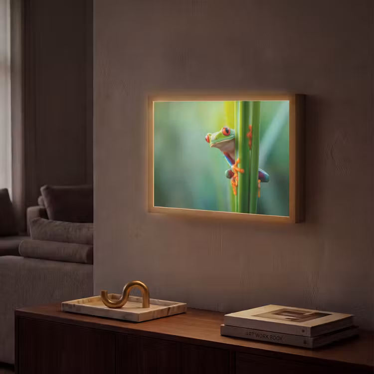 Groene kikker - Nieuwsgierig - Gras Light Box met batterij (Wandlamp) middel -sfeer1