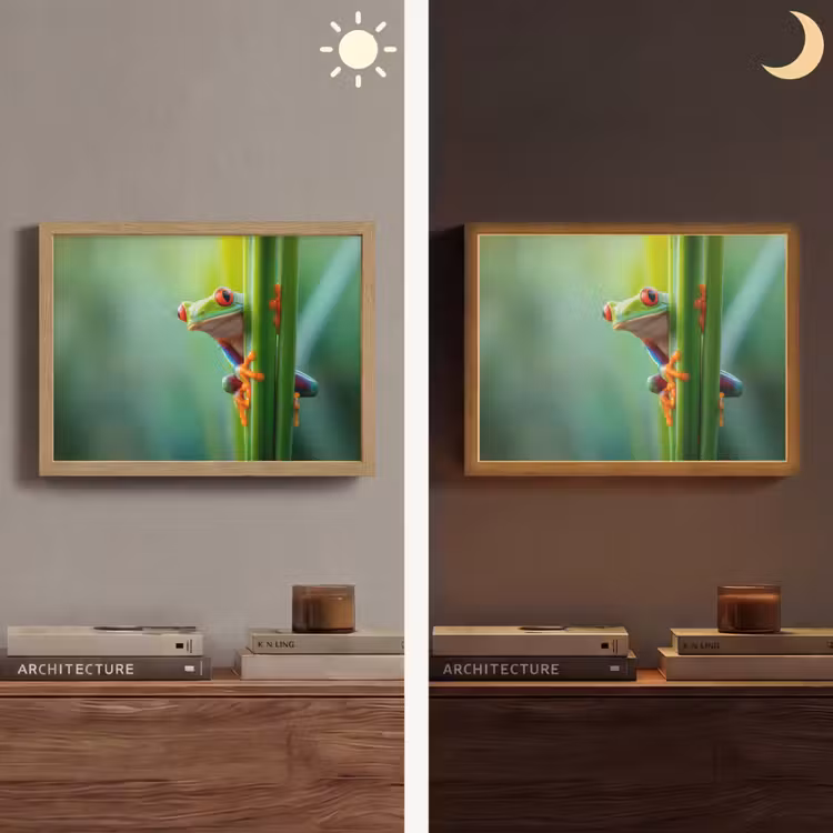 Groene kikker - Nieuwsgierig - Gras Light Box met batterij (Wandlamp) middel -sfeer3
