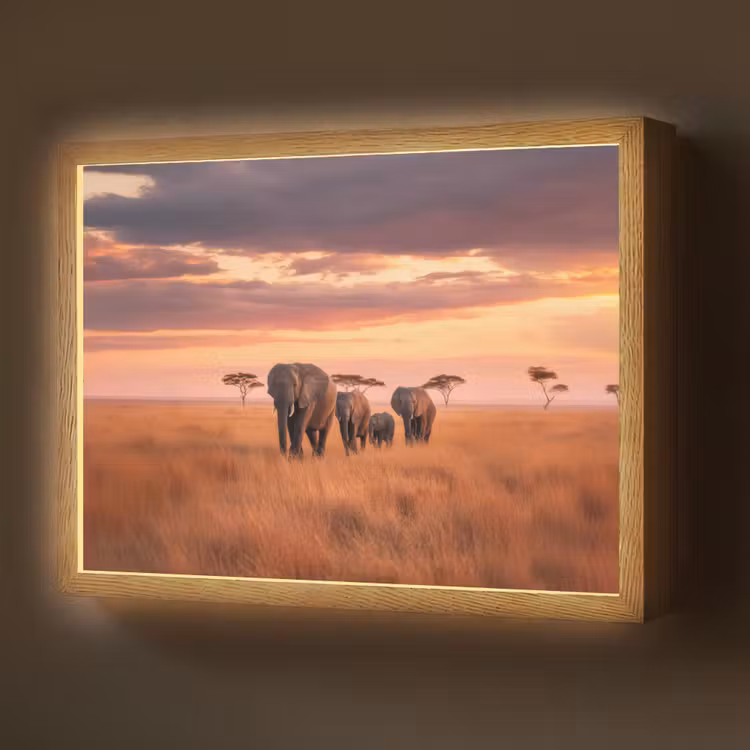 Groep olifanten - Open vlakte - Zon Light Box met batterij (Wandlamp) middel -z3d_website