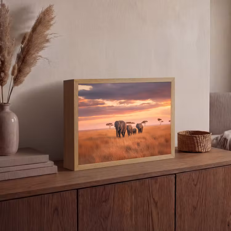 Groep olifanten - Open vlakte - Zon Light Box met batterij (Wandlamp) middel -sfeer2