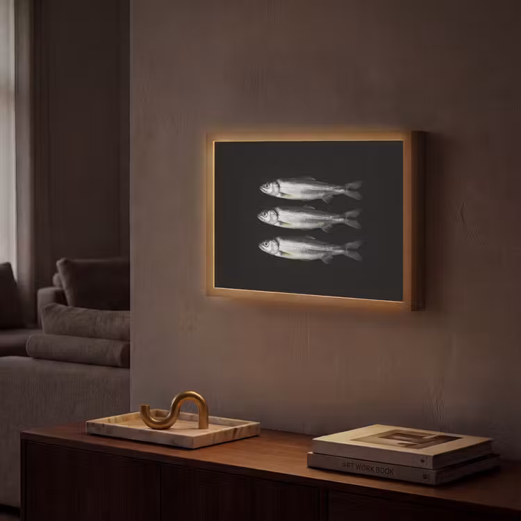 Haring - Vissen - Zwart Light Box met batterij (Wandlamp) middel -sfeer1