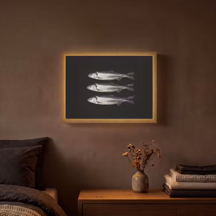 Haring - Vissen - Zwart Light Box met batterij (Wandlamp) middel -sfeer4