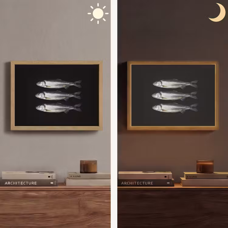 Haring - Vissen - Zwart Light Box met batterij (Wandlamp) middel -sfeer3